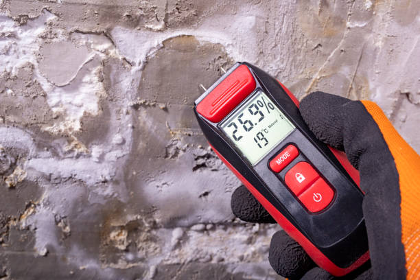 Mold Removal and Inspection in Fairmont, MN