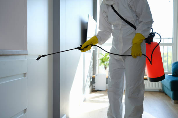 Best Fast Mold Removal  in Fairmont, MN