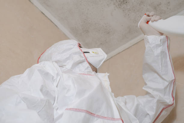 Office Mold Removal Services in Fairmont, MN